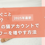 インスタの猫アカウントでフォロワーを増やす方法